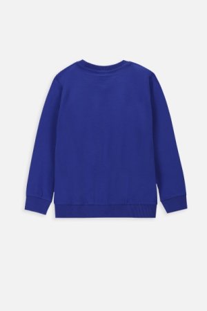 COCCODRILLO long sleeved t-shirt GAMER BOY KIDS, blue, WC4143103GBK-014-122, 122 cm 