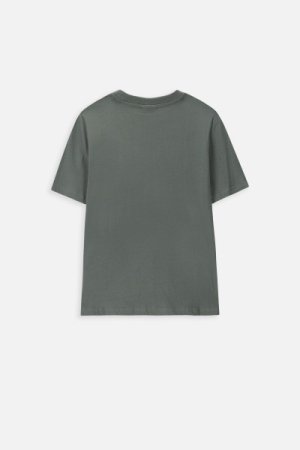 COCCODRILLO marškinėliai trumpomis rankovėmis EVERYDAY BOY A, žali, WC4143215VBA-011- 