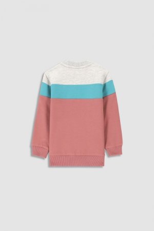 COCCODRILLO susegamas džemperis HUG MONSTER, multicoloured, 86 cm, WC2132201HUG-022 WC2132201HUG-022-062