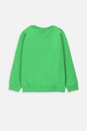 COCCODRILLO long sleeved t-shirt GAMER BOY KIDS, green, WC4143102GBK-011-104, 104 cm 