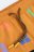 COCCODRILLO sportinės kelnės DIGITAL WORLD KIDS, medaus spalvos, WC3122101DWK-026 WC3122101DWK-026-116