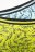 COCCODRILLO kelnaitės PANTS, multicoloured, 164/170 cm, 2 vnt., WC2409501PAN-022 WC2409501PAN-022-152